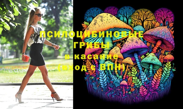 дживик Богданович