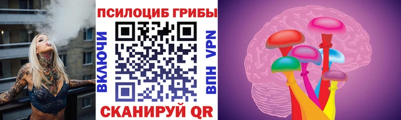 Галлюциногенные грибы прущие грибы  Верхний Уфалей 